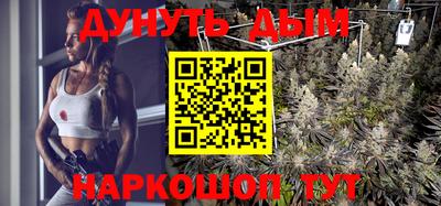 прущие крисы Малгобек