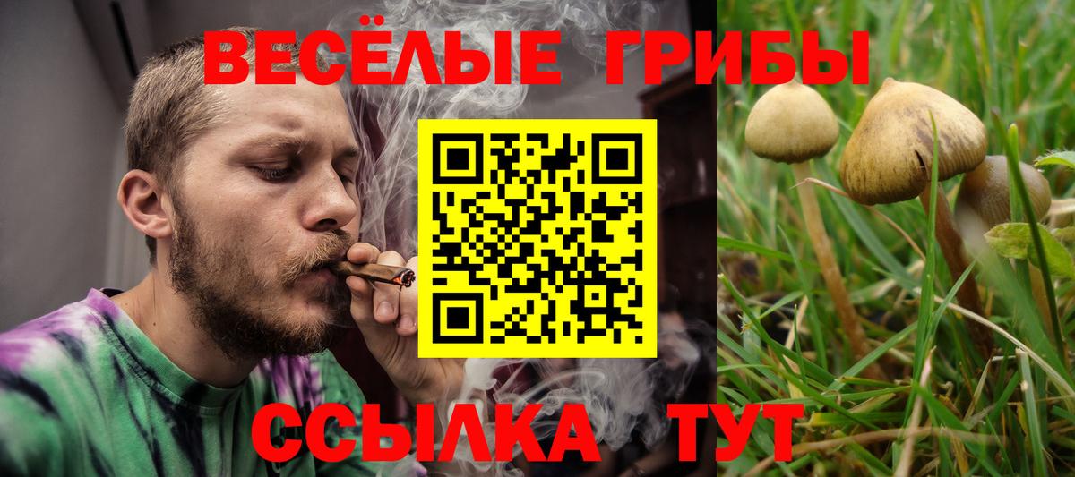 Галлюциногенные грибы MAGIC MUSHROOMS Выкса