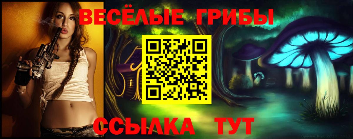 Галлюциногенные грибы Magic Shrooms  Вход с VPN  Галлюциногенные грибы Psilocybe  наркотики  Выкса 